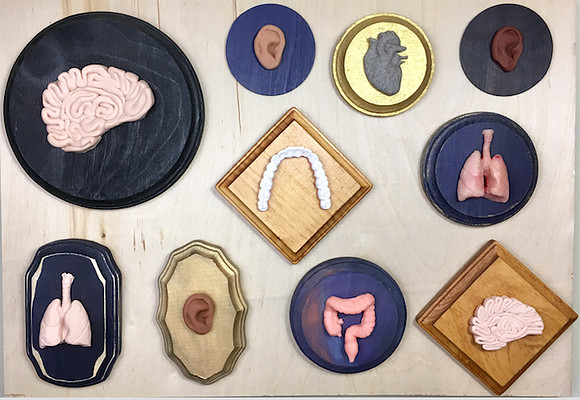 Organ wall plaques