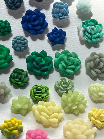 Succulent earrings, pins, and magnets